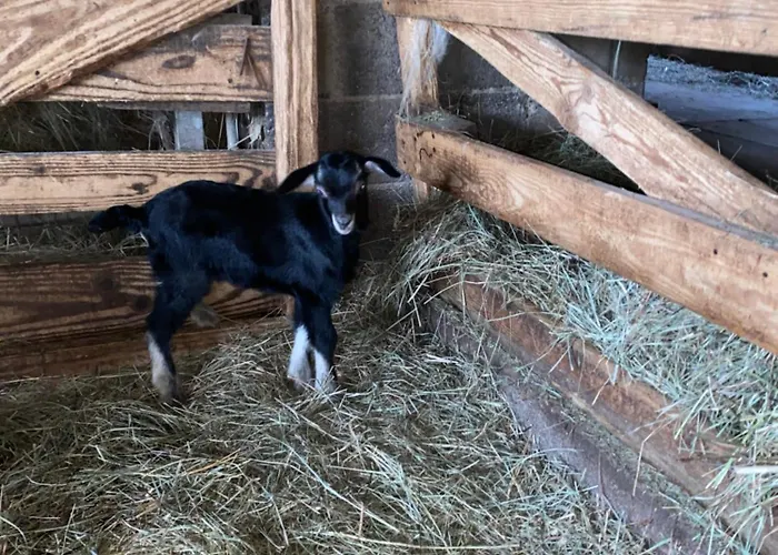 Vue Panoramique & Jacuzzi Prive Holiday home Saint-Hilaire (Haute-Loire)